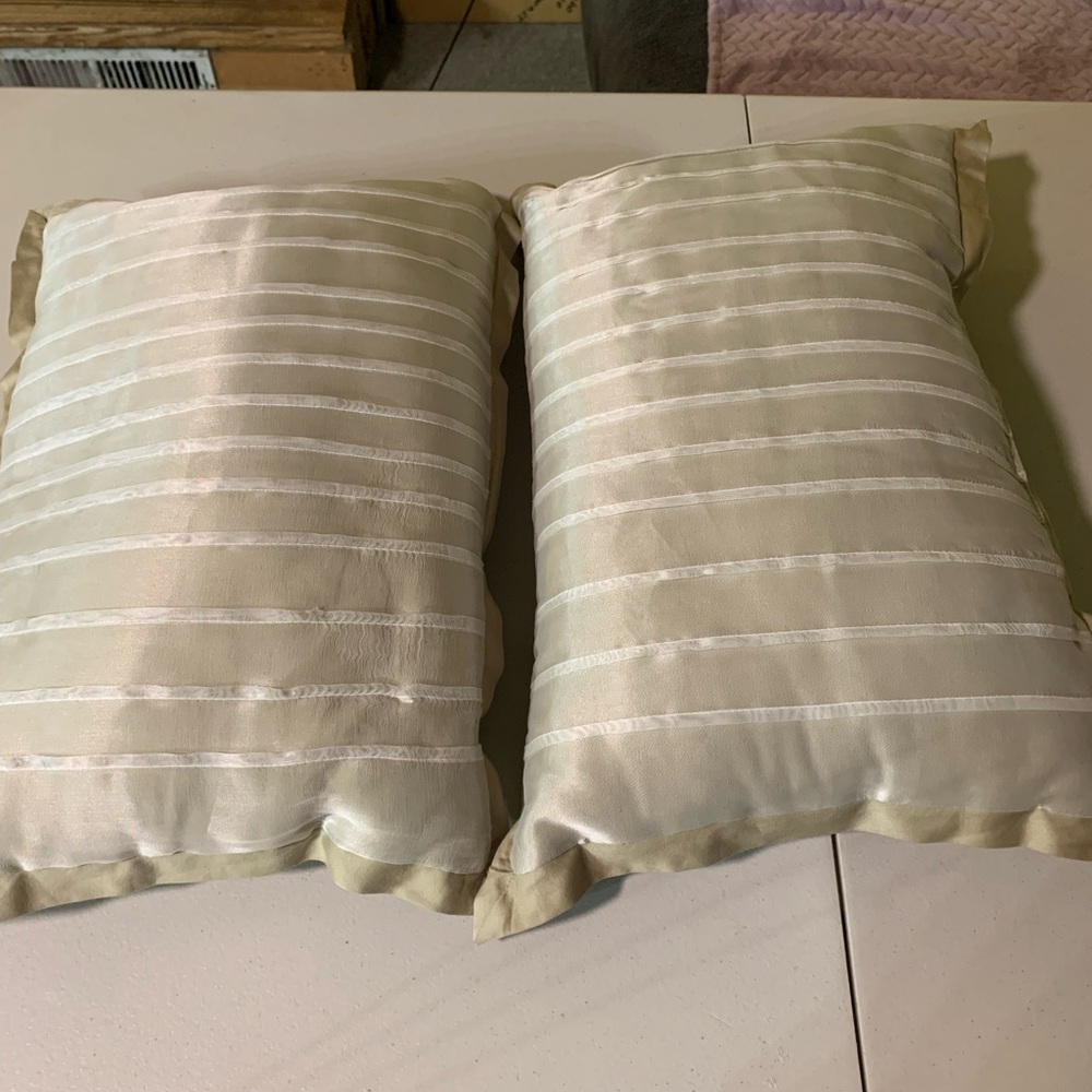Elegant sage green Striped Pillows